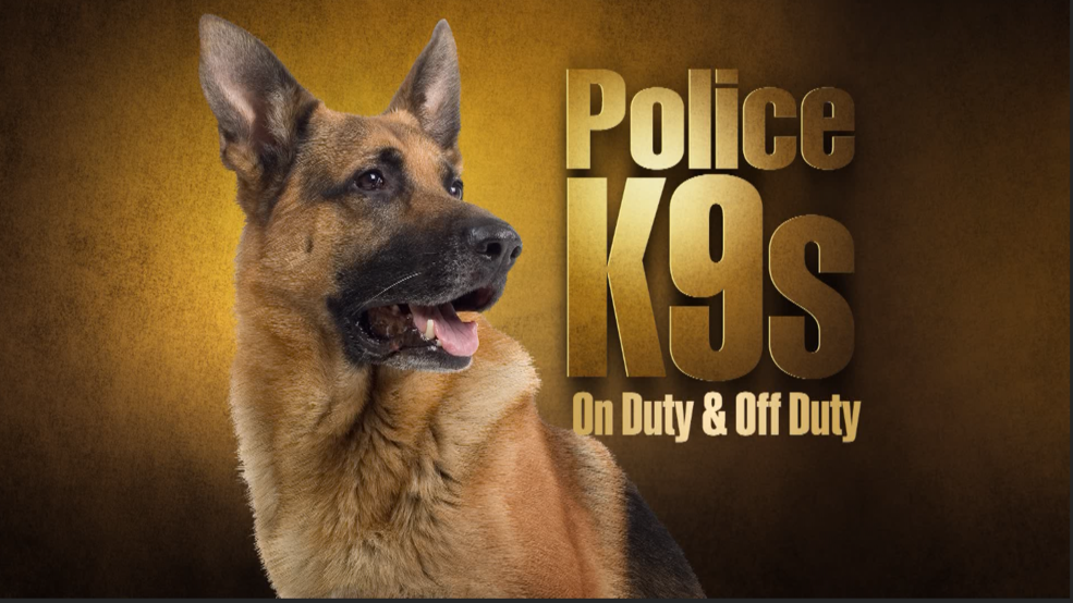 K9 Cops: On And Off Duty | WSBT