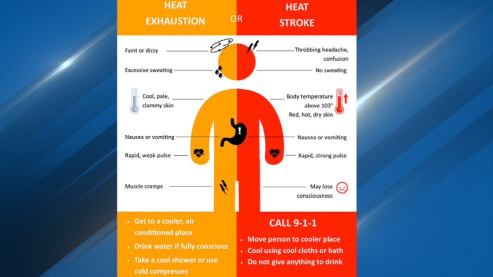 The difference between heat exhaustion and heat stroke, when to get