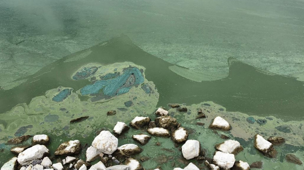 Beware of harmful algal blooms, waterborne pathogens this summer - KUTV 2News