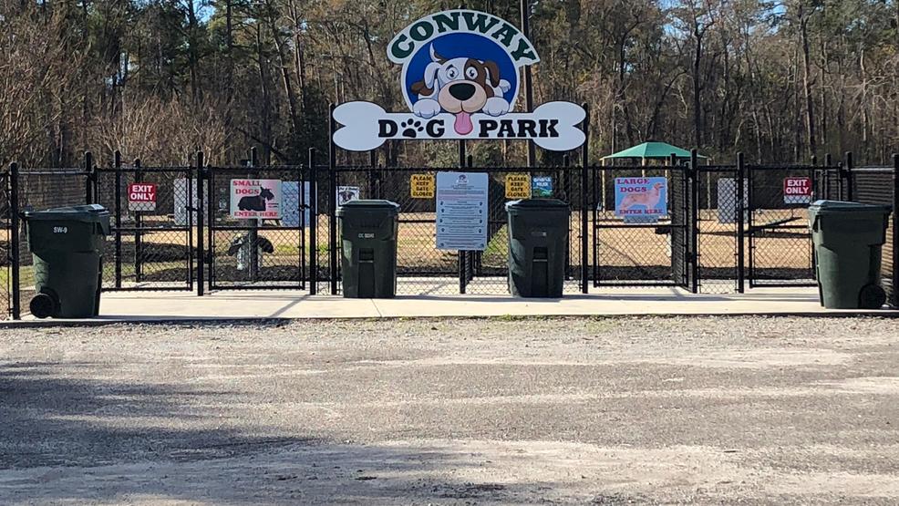 Conway Dog Park reopens following Hurricane Florence flooding WPDE