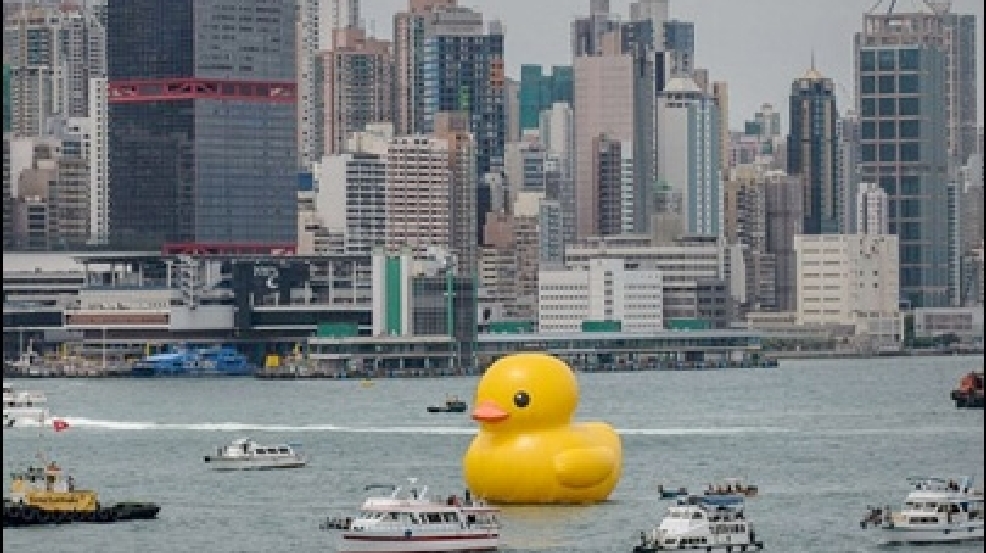 130502_rubber_ducky.jpg