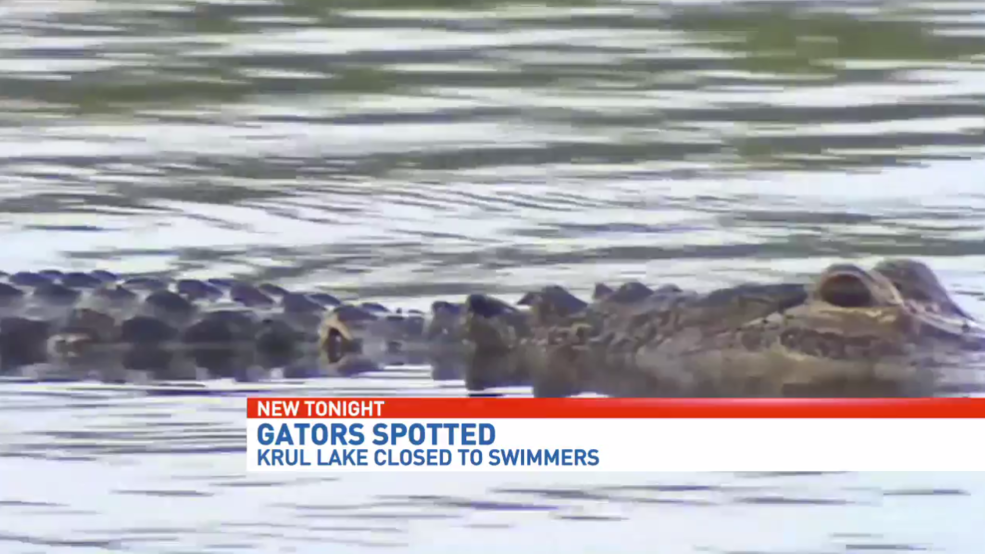 Gators spotted at Krul Lake could impact summer season WEAR