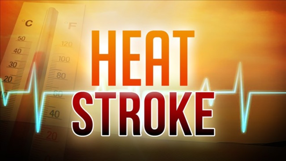 Coroner Camden man dies from heat stroke, found 4 days later WACH