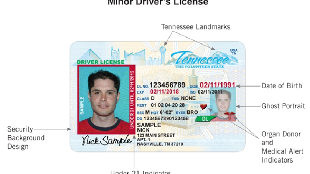 How To Get A Replacement Tn Drivers License