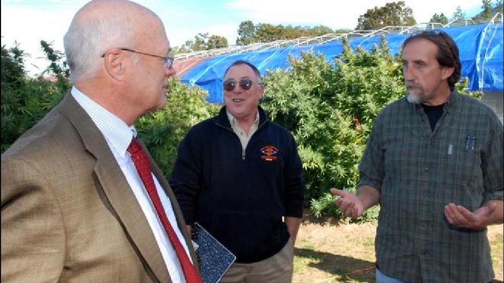 121107_oregon_marijuana_660.jpg