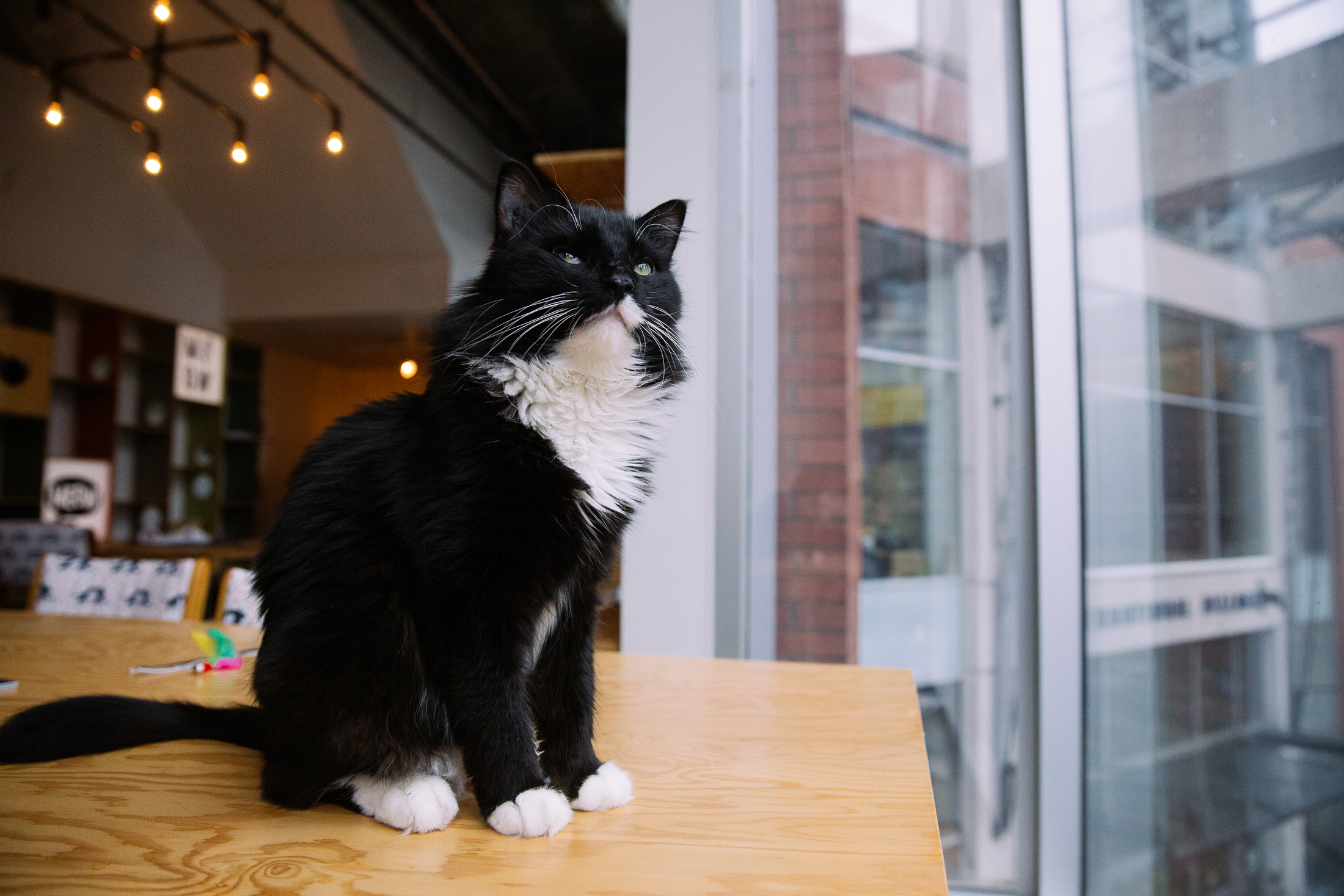 36 hours in Vancouver BC (mostly eating) Seattle Refined