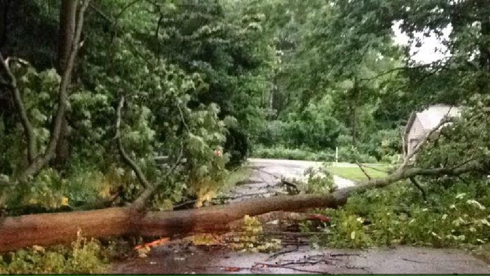 Storm Damage Throughout Northern Michigan 