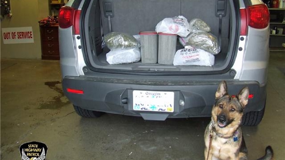 Potent Pot Seized During Traffic Stop In Lucas Co Wnwo