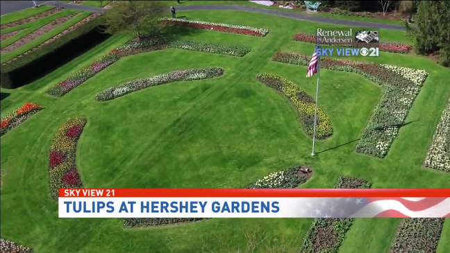 SkyView 21 | Flying over the tulips at Hershey Gardens
