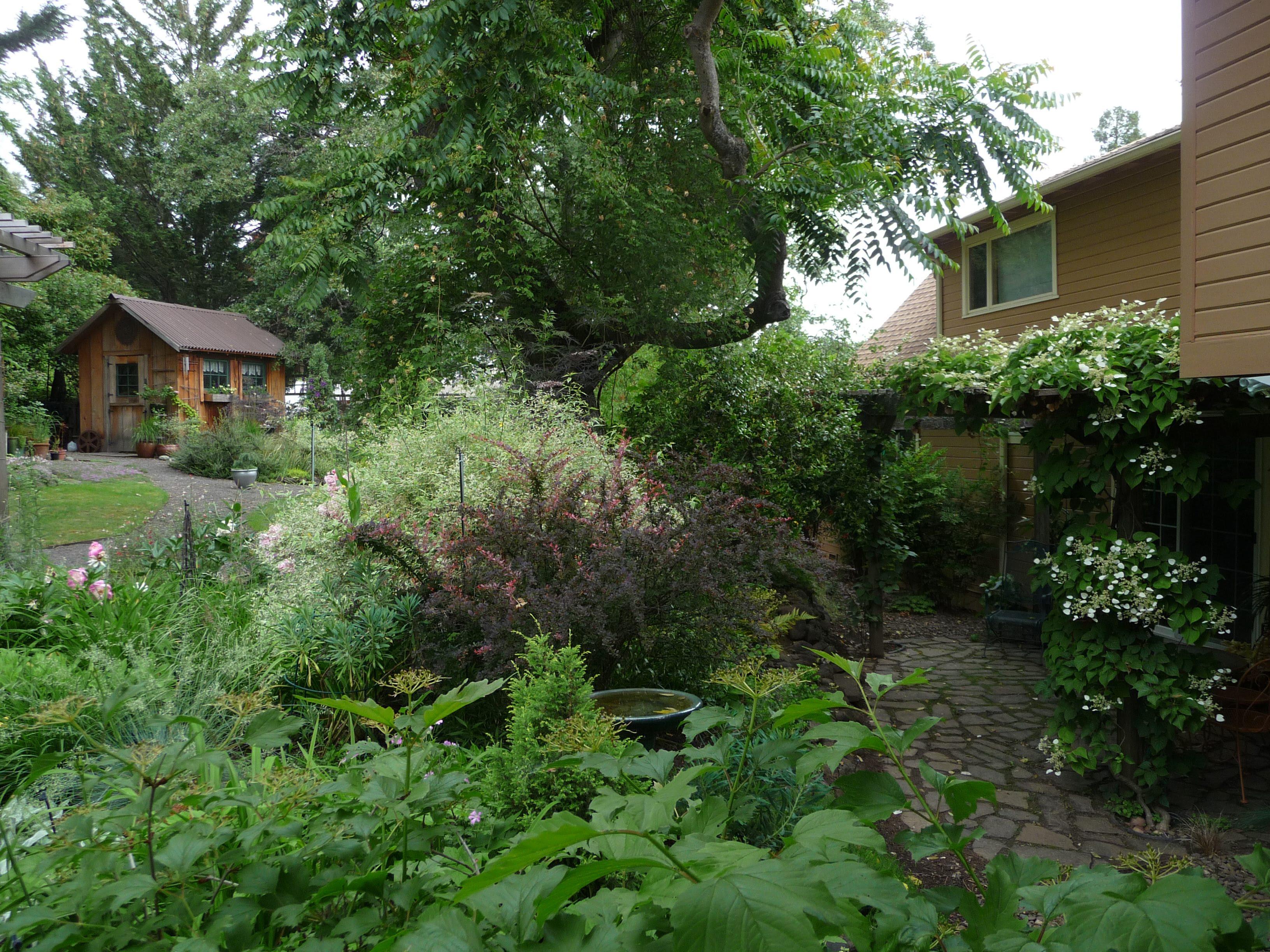 garden on south laurel street is the ashland garden club"s