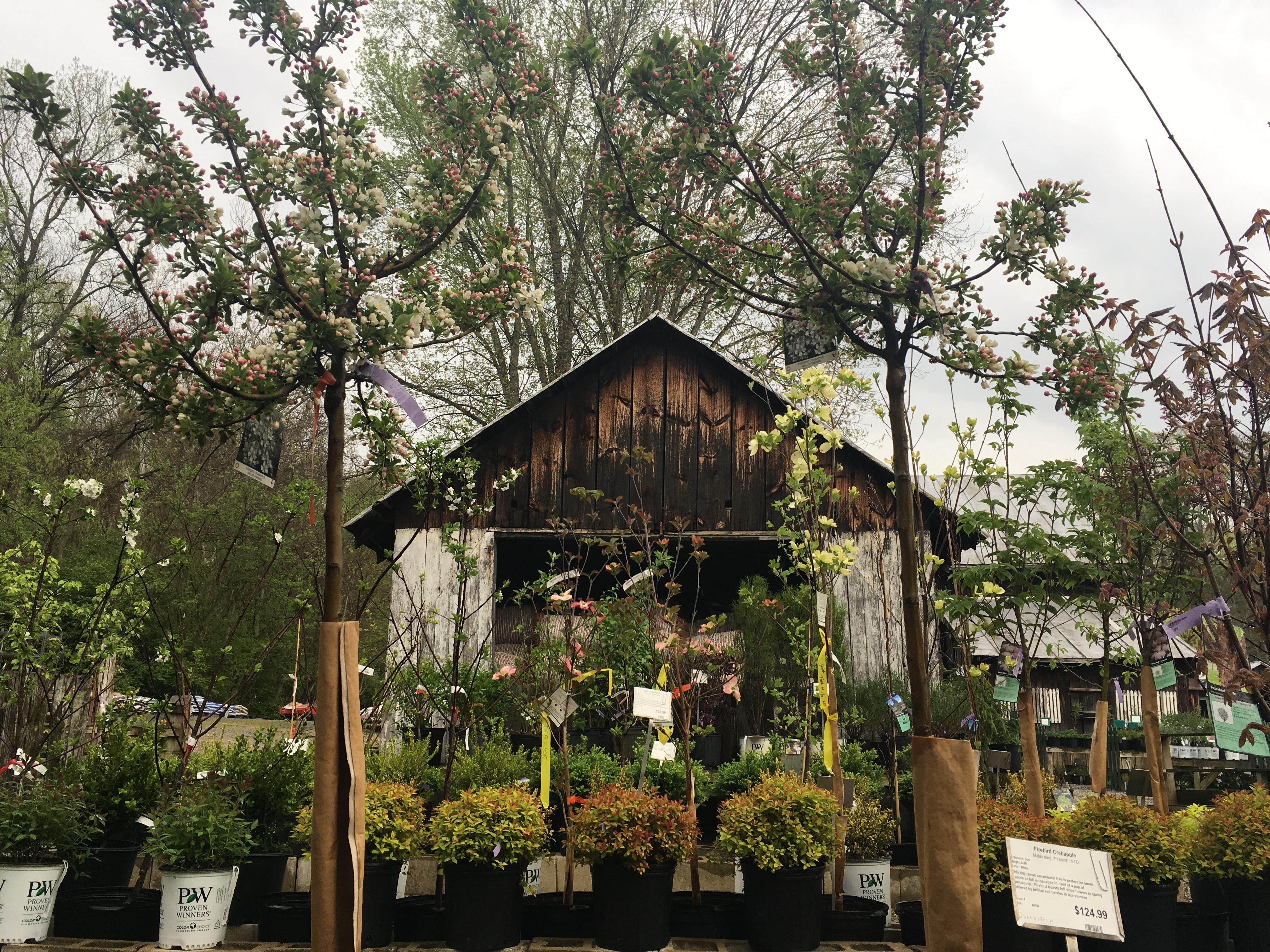 Anderson’s Greenfield Plant Farm Is A Local Plant &amp; Flower