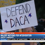 MALDEF seeks to intervene in DACA lawsuit