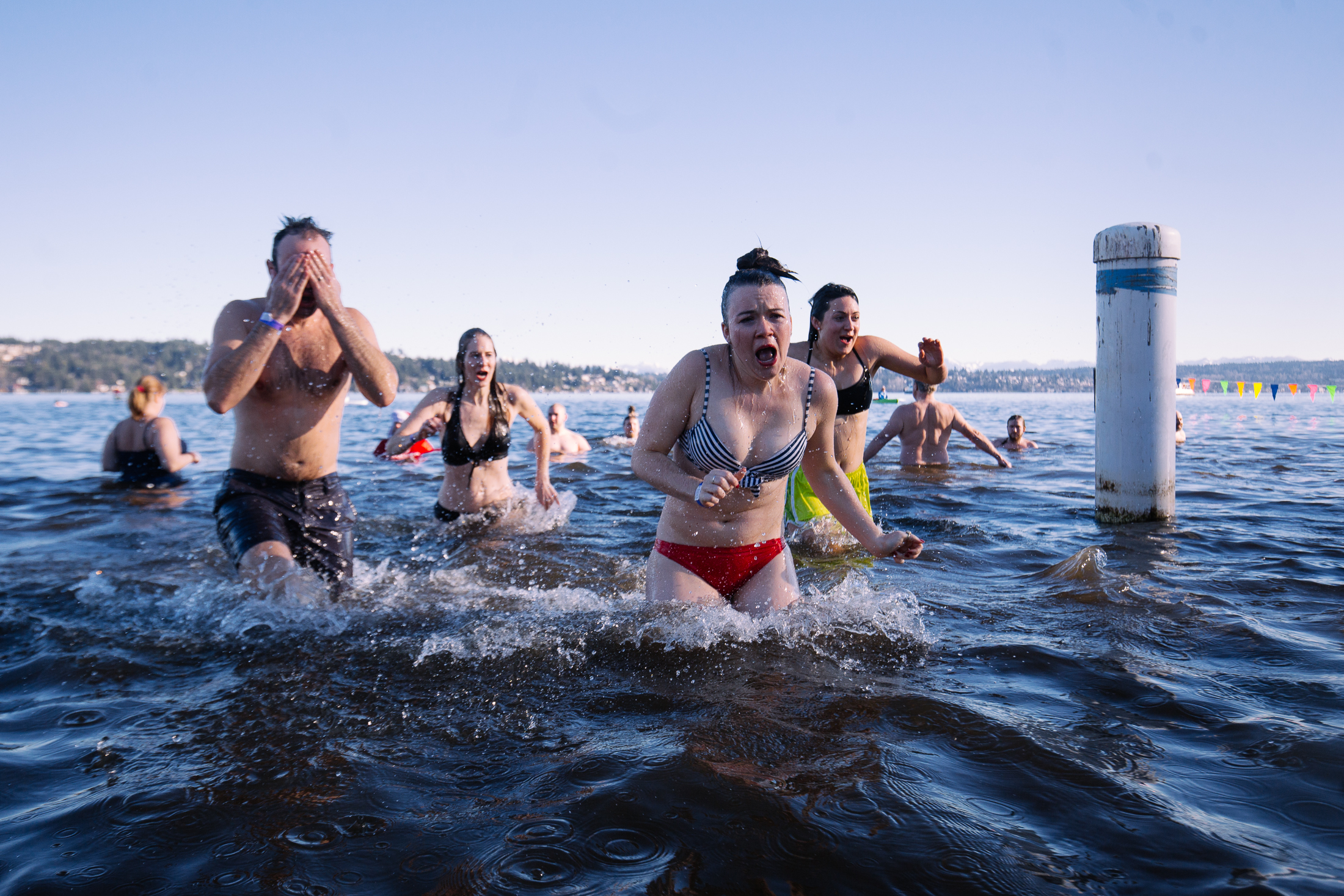 Pictures of polar bear plunge Pictures of polar bear plunge