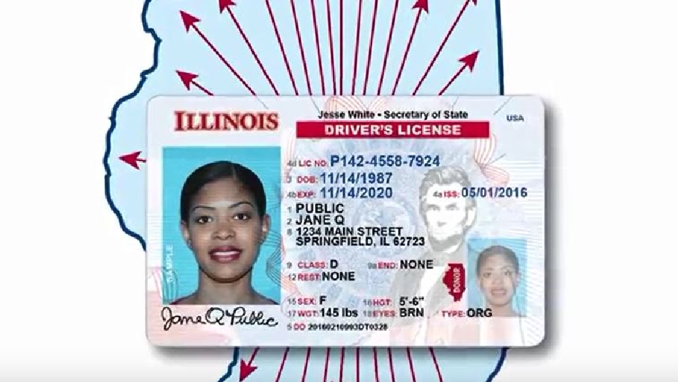 Fake Missouri Drivers License