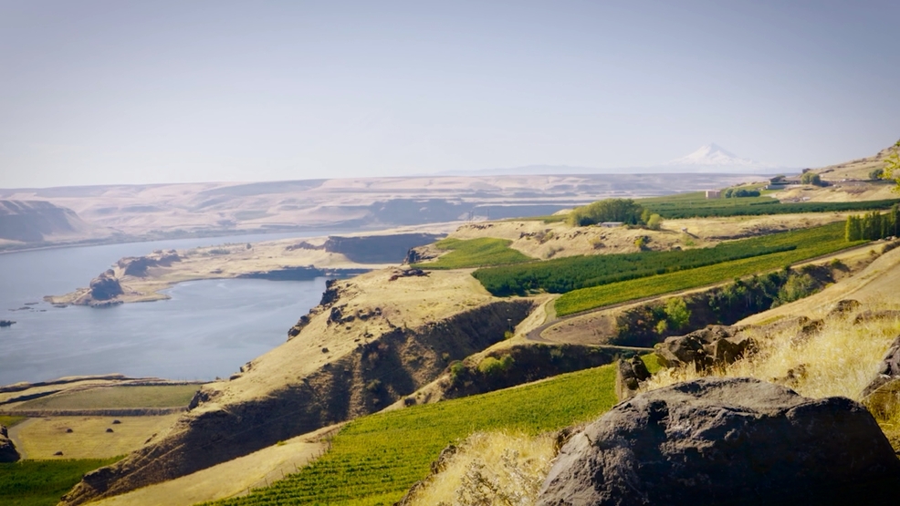 One of the most unique parks in the country is in Goldendale, WA