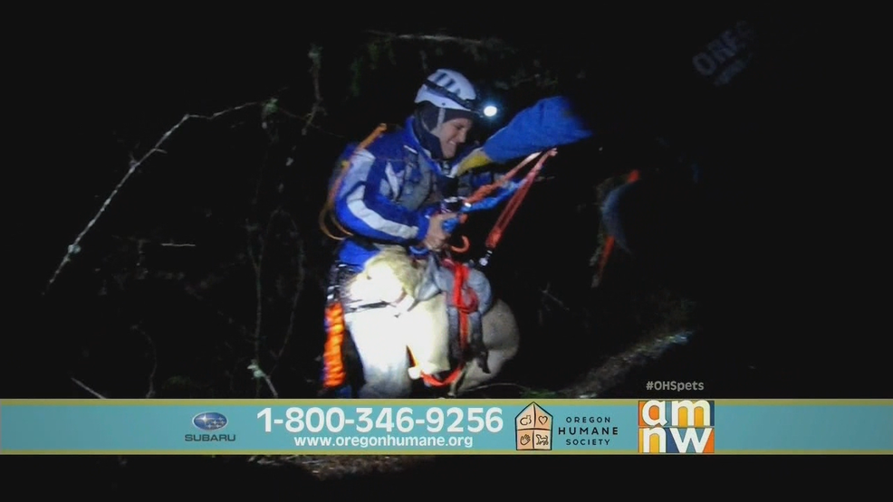 OHS Telethon OHSTAR.png OHS Telethon OHSTAR.png