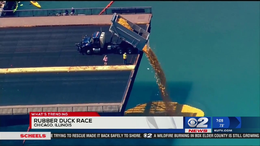 Watch 50,000 rubber ducks get dumped into the Chicago River (and find out why) KUTV