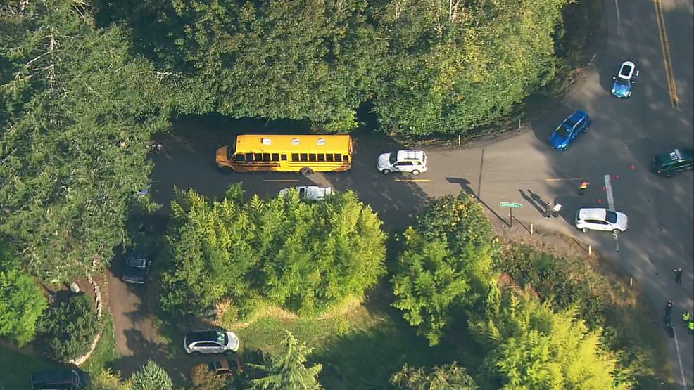 Motorcyclist Killed In Crash With School Bus In Port Orchard Komo