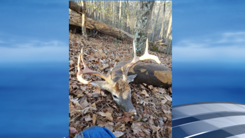 Hunters kill more than 40,000 deer so far during West Virginia buck