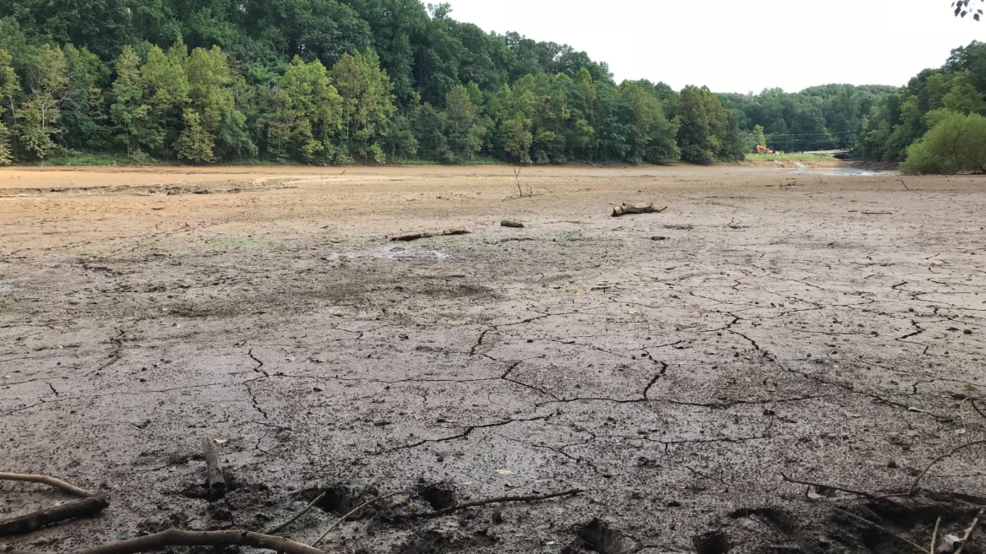 How To Drain Water From Wetlands Best Drain Photos