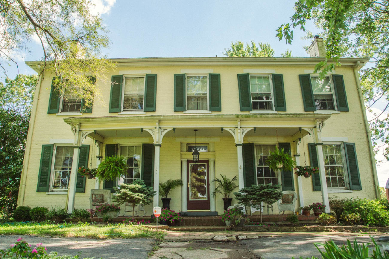 3 Alpaca Farms Near Cincinnati That Every Alpacaholic Should Visit