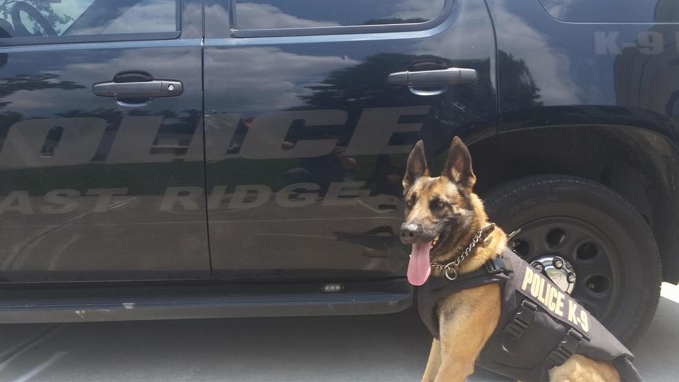 East Ridge Police K9 gets body armor thanks to donation WTVC