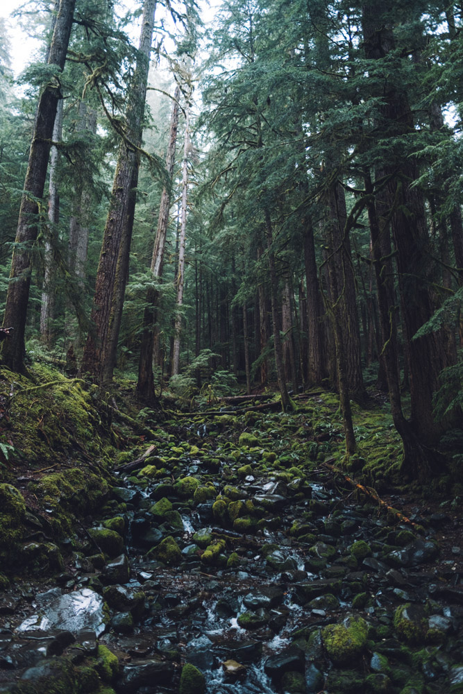 duc falls- with a trail that meanders through a lush rain forest